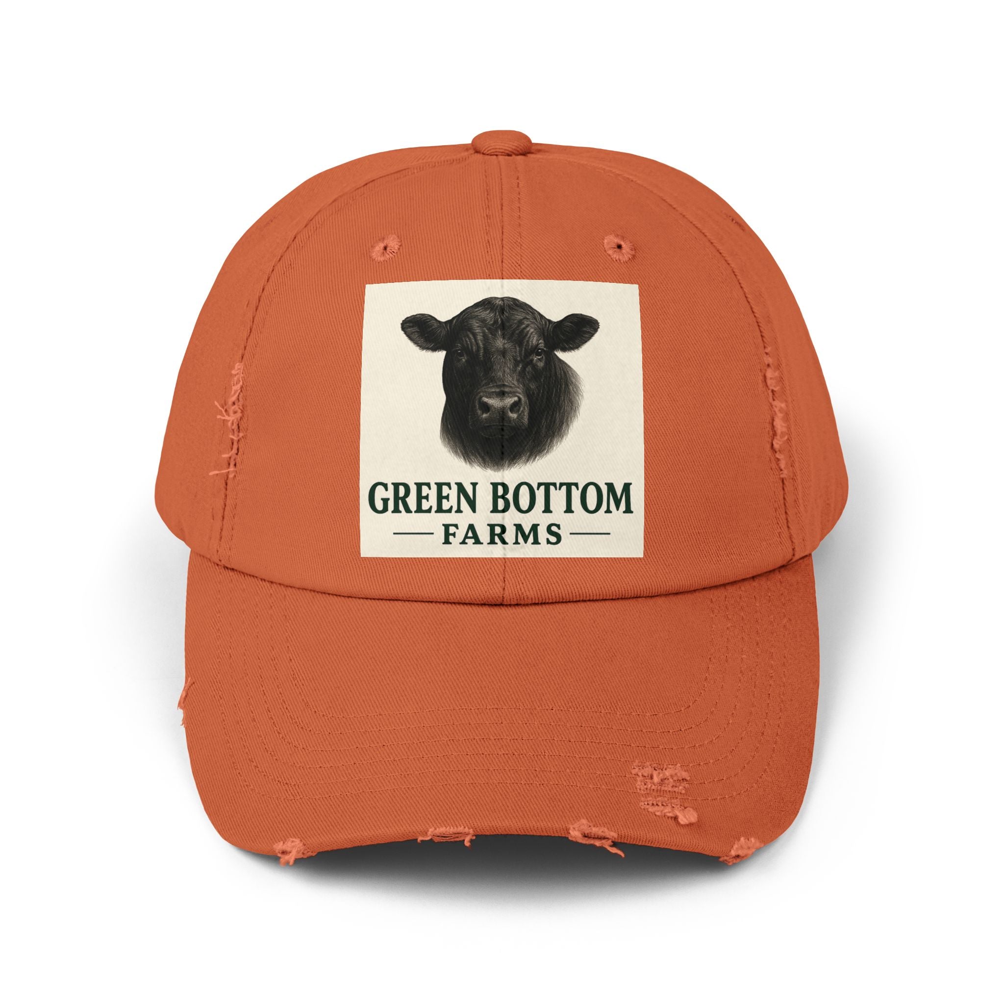 Unisex Distressed Cap